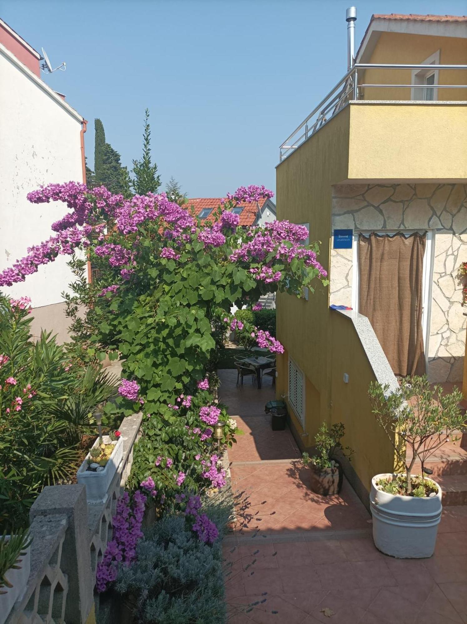 Apartmani Grguric Корнич Екстер'єр фото